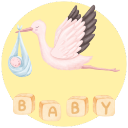 mimos para gestantes e bebês: mala maternidade